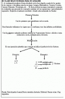 cuadro conceptual